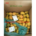 Ripener de Mango Éthylène / Banane Ripener pour le marché de l&#39;Inde